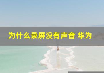 为什么录屏没有声音 华为